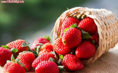 la_festa_delle_fragole_di_cassibile_in_sicilia