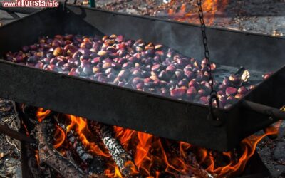 la_festa_di_san_martino_a_villavallelonga