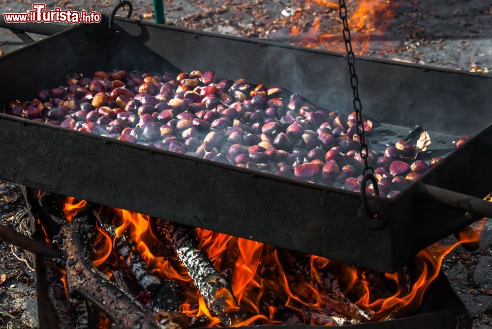 la_festa_di_san_martino_a_villavallelonga