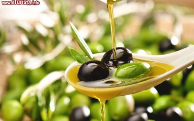 la_fiera_olio_capitale_a_trieste_friuli_venezia_giulia