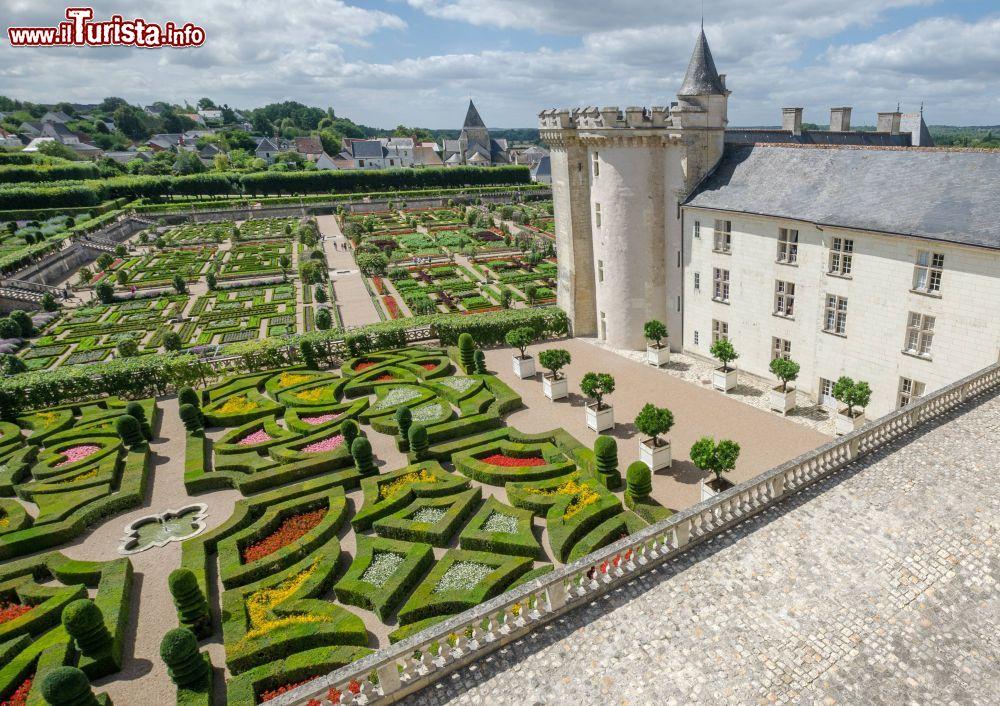 la_fioritura_nel_parco_del_castello_di_villandry_regione_centro_francia