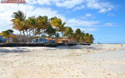 la_grande_spiaggia_di_cayo_guillermo_jardines_del_rey_cuba