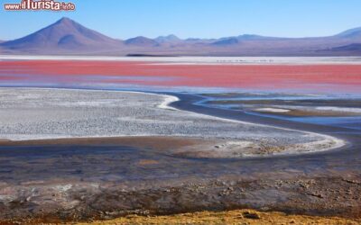 la_laguna_colorada_nei_pressi_del_salar_de_uyuni_tra_le_vette_delle_ande_in_bolivia