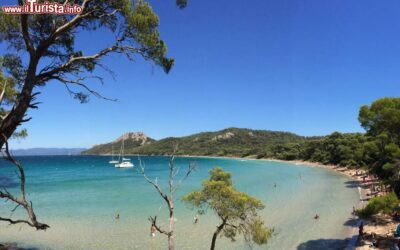 la_plage_notre_dame_di__porquerolles_al_largo_di_hyeres_in_costa_azzurra