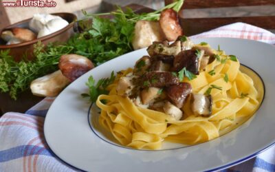 la_sagra_dei_funghi_a_cusano_mutri_in_campania