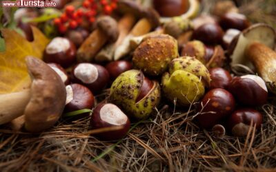 la_sagra_della_castagna_e_del_fungo_porcino_a_roccamonfina