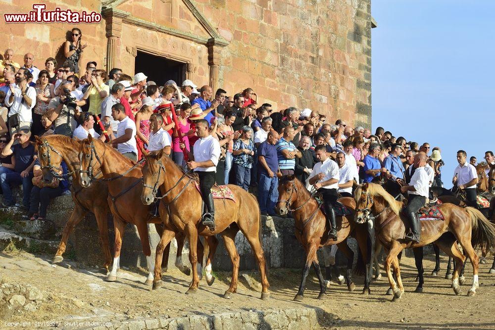 la_sardia_di_san_costantino_a_sedilo_in_sardegna