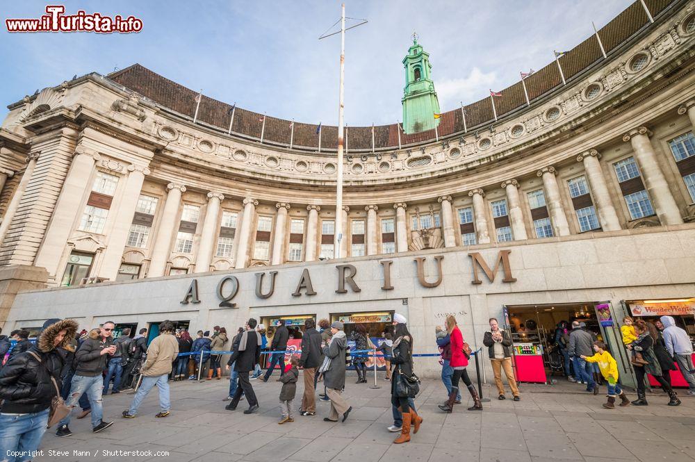 Sea Life London Aquarium, visitare l’Acquario di Londra