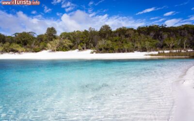 le_acque_cristalline_del_lake_mckenzie_su_fraser_island_la_grande_isola_di_sabbia_dell_australia