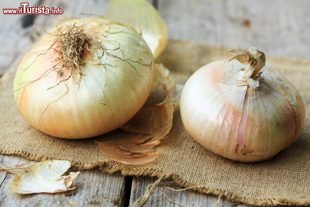 le_cipolle_di_giarratana_in_sicilia_vengono_celebrate_con_una_importante_sagra