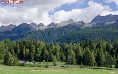 le_montagne_intorno_a_bellamonte_siamo_nel_comune_di_predazzo_sulle_dolomiti_del_trentino