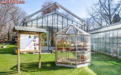 le_serre_dell_orto_botanico_di_bologna_in_zona_universitaria