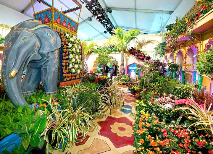 Il Macys’ Flower Show: il festival floreale del grande centro commerciale