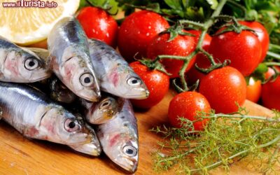 marzamemi_sicilia_il_festival_del_pesce_azzurro