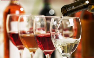merano_winefestival_il_festival_del_vino_in_alto_adige