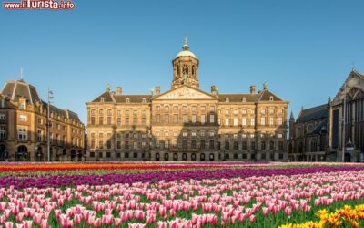 Festival tulipani Amsterdam Festival tulipani Amsterdam