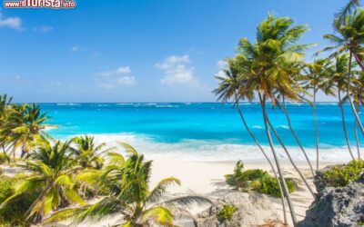 palme_e_mare_turchese_a_bottom_bay_isola_di_barbados