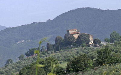 panorama