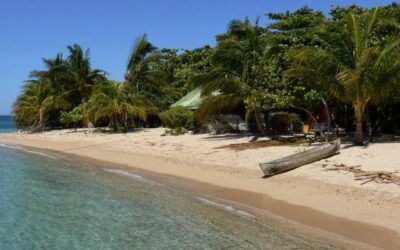 panorama_delle_trasparenti_acque_tropicali_di_cayo_menor_nellarcipelago_naturale_di_cayos_cochinos_honduras