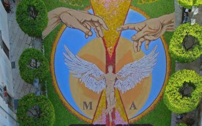 particolare_dall_alto_dell_infiorata_del_corpus_domini_a_santagata_de_goti_in_campania