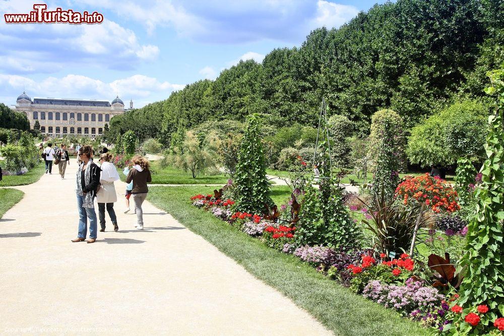 Jardin des Plantes, la visita al più importante giardino botanico di Parigi
