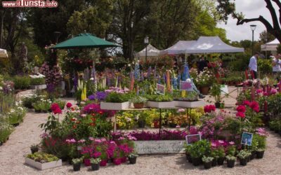 perugia_flower_show_la_manifestazione_floreale_in_umbria