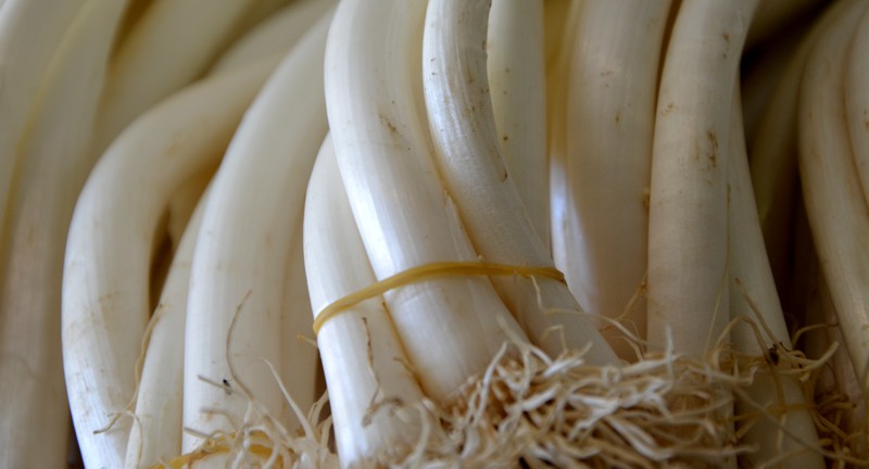 La Fiera del Porro Cervere in Piemonte