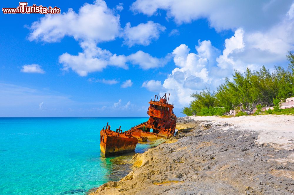 relitto_di_una_nave_vicino_a_una_spiaggia_di_bimini_bahamas