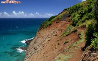 sentiero_verso_la_spiaggia_di_hanakapiai_isola_di_kauai_hawaii