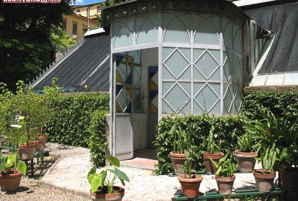 L’Orto Botanico dell’Università degli Studi di Siena