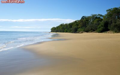 spiaggia_di_hervey_bay_australia