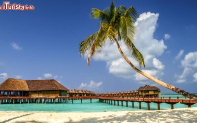 spiaggia_e_bungalow_su_di_una_isola_dell_atollo_di_noonu_alle_maldive