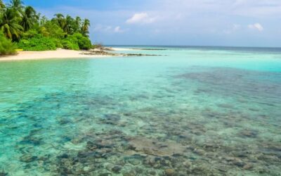 spiaggia_isola_di_asdu_atollo_male_nord_maldive