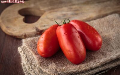 striano_campania_la_sagra_del_pomodoro_san_marzano_dop