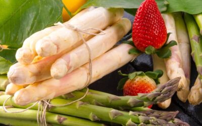 tavagnacco_friuli-venezia-giulia_la_festa_degli_asparagi