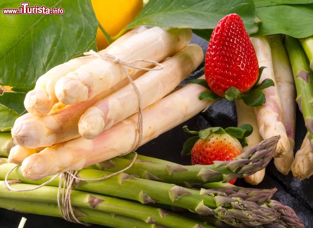 tavagnacco_friuli-venezia-giulia_la_festa_degli_asparagi