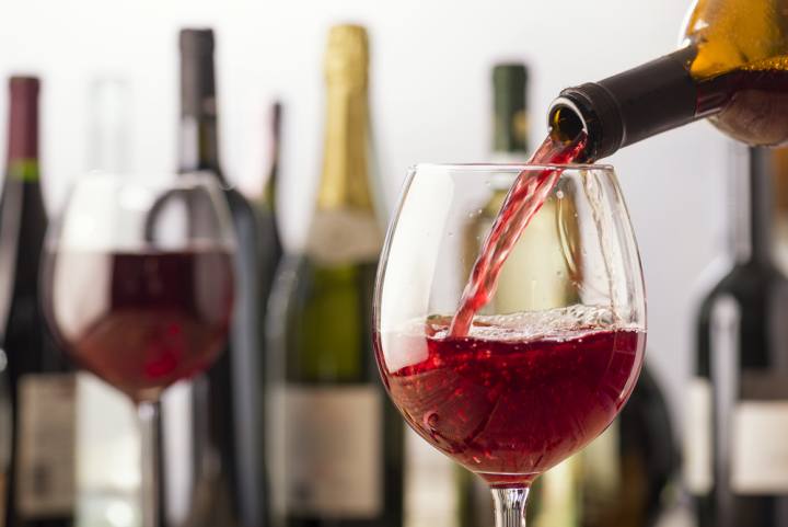 La Festa del Vino DOC a Montescudaio