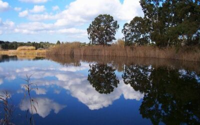 tra_i_laghi_piu_belli_della_puglia_vanno_inseriti_i_laghi_alimini_nel_salento