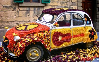 tulipano_Castiglione_sul_lago_festa