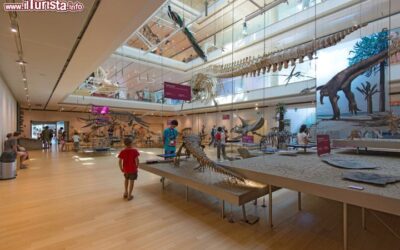 un_bambino_esplora_il_museo_delle_scienze_di_trento