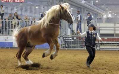 un_evento_a_fieracavalli_verona