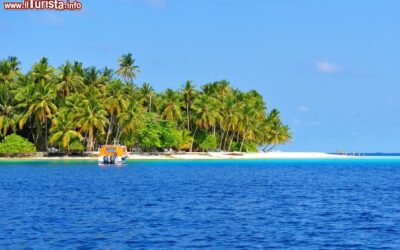 un_spiaggia_circondata_da_palme_isole_laccadive
