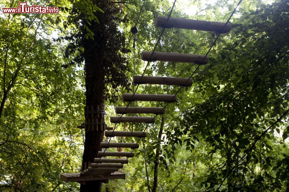Majagreen, il parco avventura a Caramanico Terme