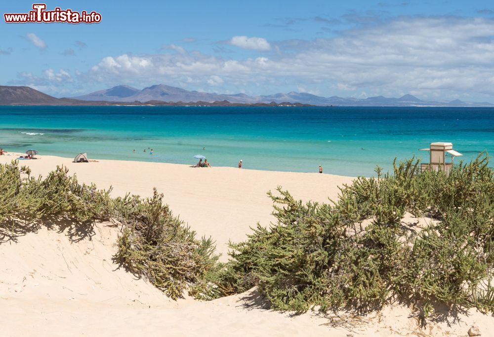 un_tratto_spettacolare_della_spiaggia_di_corralejo_beach_a_fuerteventura_isole_canarie