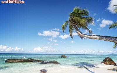 una_palma_ondeggia_su_una_spiaggia_tropicale_a_silhouette_island_seychelles_africa