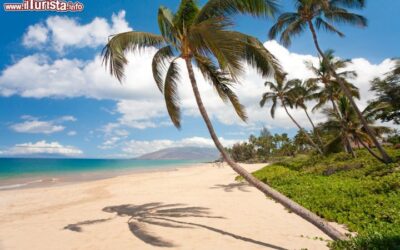 una_pittoresca_spiaggia_tropicale_nei_pressi_di_kihei_isola_di_maui_hawaii