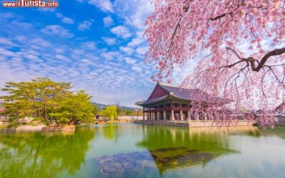 una_splendida_immagine_del_gyeongbokgung_palace_con_ciliegi_in_fiore_in_primavera_seul