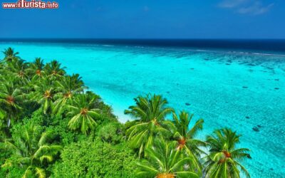 unisola_dellatollo_di_shaviyani_alle_maldive