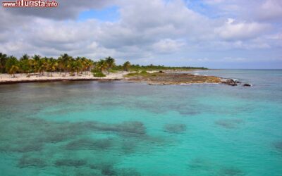 uno_scorcio_del_litorale_della_costa_maya_nei_pressi_del_villaggio_di_mahahual_messico