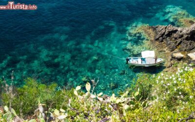 ustica_il_paradiso_dello_snorkeling_e_delle_immersioni_nel_tirreno_meridionale_al_largo_della_sicilia
